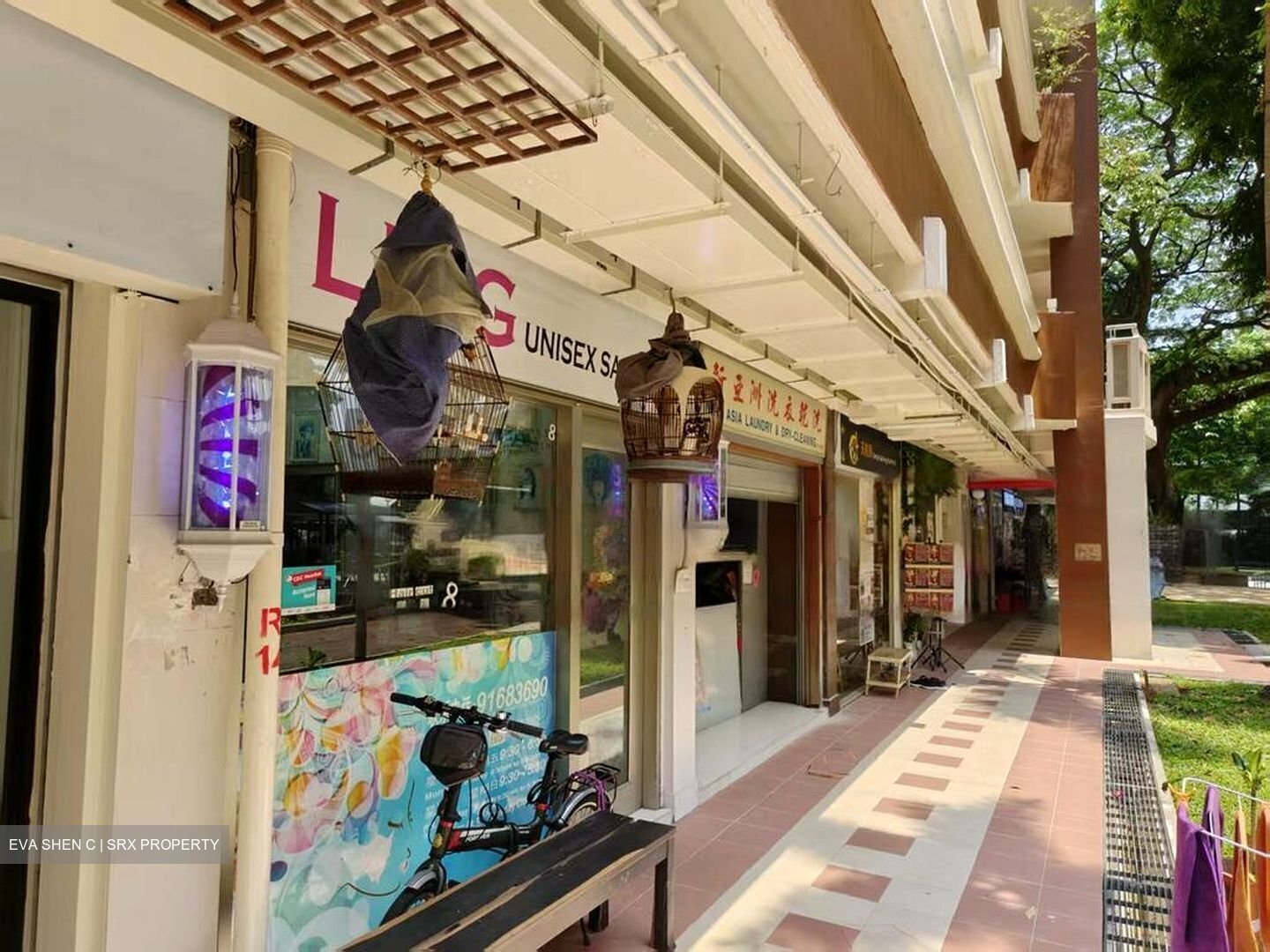 Tiong Bahru Orchid (D3), Shop House #456649301